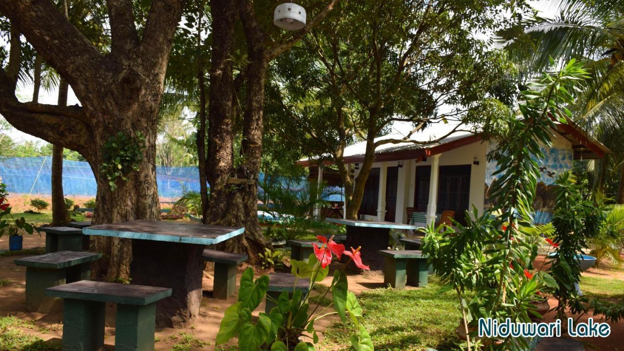 Niduwari Lake Homestay Dambulla Exterior foto