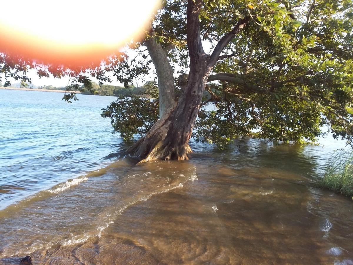 Niduwari Lake Homestay Dambulla Exterior foto